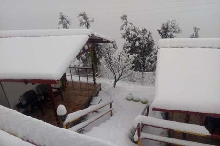 Bliss Of Nature Resort