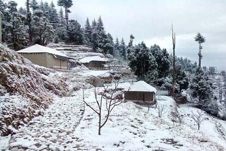 Jayshee Camp Kanatal