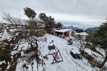 The Kanatal Arbour Resort